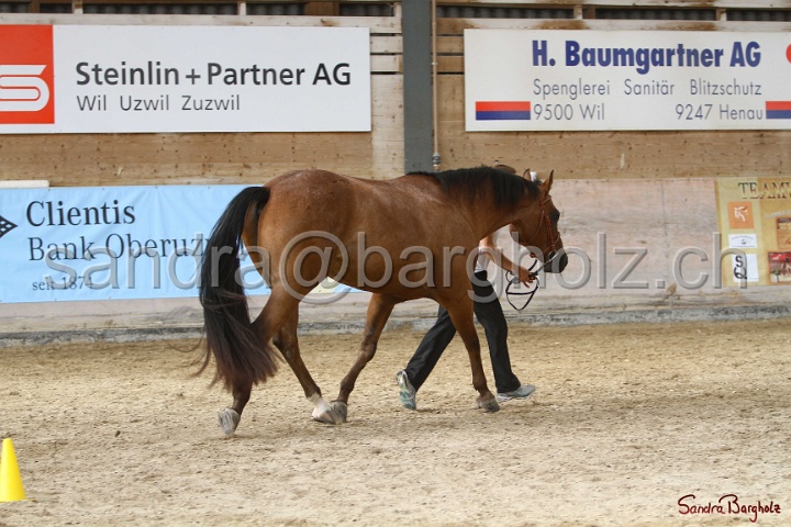 24-ApHC HIH_080.jpg
